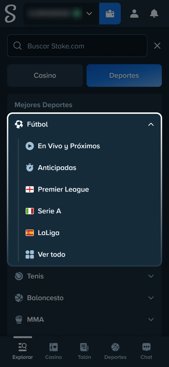 Navegá por el catálogo de ligas y partidos de fútbol disponibles en Stake.