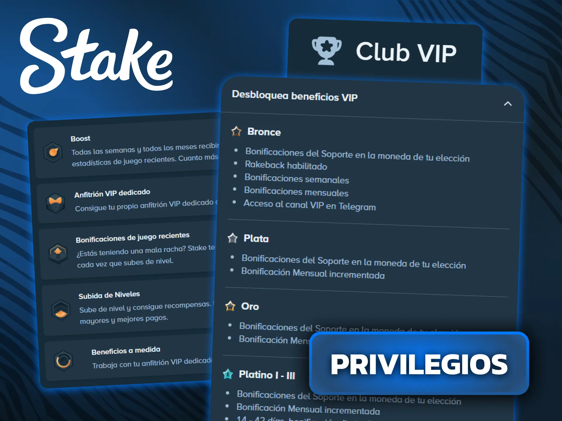 Descubrí todos los privilegios y ofertas exclusivas del programa VIP de Stake.